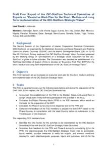 Draft Final Report of the OIC-StatCom Technical Committee of Experts on “Executive Work Plan for the Short, Medium and Long Term Implementation of the OIC-StatCom Strategic Vision” Lead Country: Indonesia Members: Az