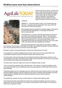 Wildfires leave more than ashes behind http://agrilife.org/today[removed]w ildfires-leave-more-than-ashes-behind/ April 19, 2011  When the fences are gone, as well as the