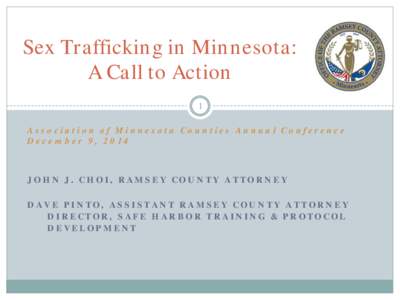 Sex Trafficking in Minnesota: A Call to Action 1 Association of Minnesota Counties Annual Conference December 9, 2014