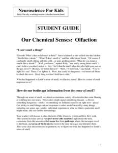 Neuroscience For Kids http://faculty.washington.edu /chudler/neurok.html STUDENT GUIDE  Our Chemical Senses: Olfaction
