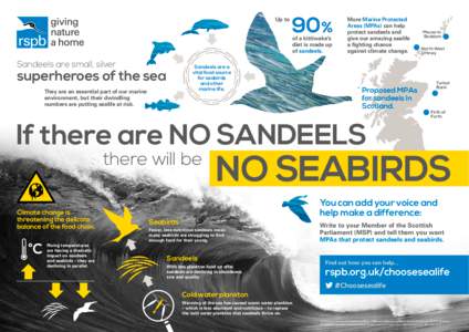 Up to  90% of a kittiwake’s diet is made up of sandeels.