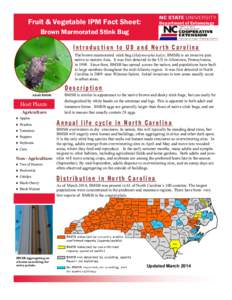 Fruit & Vegetable IPM Fact Sheet:  Department of Entomology Brown Marmorated Stink Bug Introduction to US and North Carolina