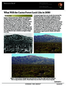 Resource Brief  National Park Service U.S. Department of the Interior Saguaro National Park Resource Management Division