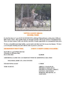 SUTTON COUNTY RANCH SONORA, TEXAS For the first time in 7 years RAW RANCH HUNTS is offering Whitetail hunts on this prime 1,500 acre