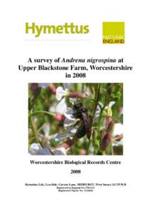 A survey of Andrena nigrospina at Upper Blackstone Farm, Worcestershire in 2008 Worcestershire Biological Records Centre 2008