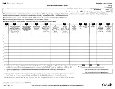 Capital Cost Allowance (CCA)