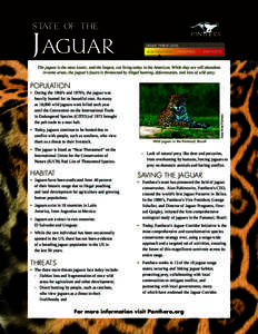 state of the  Jaguar JAGUAR THREAT LEVEL NEAR THREATENED