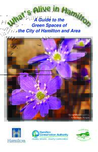 A Guide to the Green Spaces of the City of Hamilton and Area Sharp-lobed Hepatica, by Graham Wright