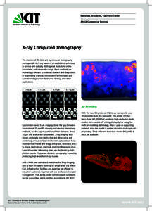 Materials, Structures, Functions Center ANKA Commercial Services X-ray Computed Tomography The creation of 3D data sets by computer tomography and especially by X-ray beams is an established technique