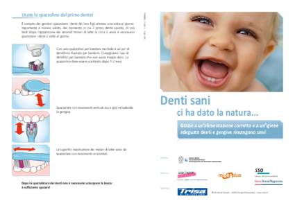 È compito dei genitori spazzolare i denti dei loro figli almeno una volta al giorno. Importante è iniziare subito, dal momento in cui il primo dente spunta. Al più tardi dopo l’apparizione dei secondi molari di latt