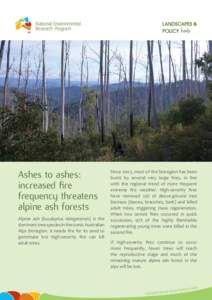 Ashes to ashes: increased fire frequency threatens alpine ash forests Alpine ash (Eucalyptus delegatensis) is the dominant tree species in the iconic Australian