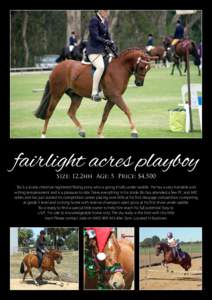 fairlight acres playboy Size: 12.2hh Age: 5 Price: $4,500 ‘Bo’ is a lovely chestnut registered Riding pony who is going kindly under saddle. He has a very trainable and willing temperament and is a pleasure to ride. 