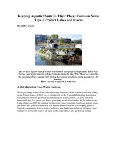 Keeping Aquatic Plants In Their Place: Common Sense Tips to Protect Lakes and Rivers