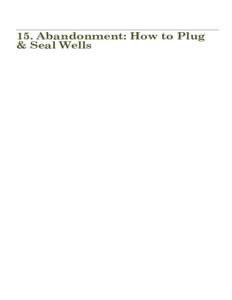 Microsoft Word - p_WWBMP-Chapter_15-Abandonment_How_to_Plug_&_Seal_Final_Jan 12 10_PIs_removed.doc