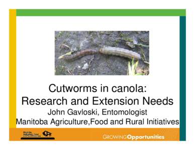 Cutworms in canola: Research and Extension Needs John Gavloski, Entomologist Manitoba Agriculture,Food and Rural Initiatives  Prairie Pest Monitoring Network