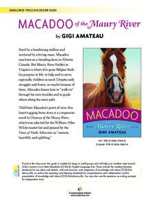 CANDLEWICK PRESS DISCUSSION GUIDE  by GIGI AMATEAU