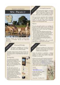Ecotourism / Wildlife / Wildlife tourism