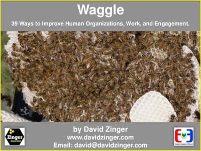 Waggle 39 Ways to Improve Human Organizations, Work, and Engagement. by David Zinger www.davidzinger.com Email: 