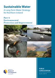 Sustainable Water A Long Term Water Strategy for Northern Ireland Part 4: Environmental Protection and Improvement