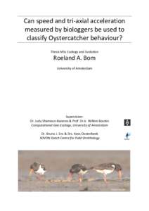 Can speed and tri-axial acceleration measured by biologgers be used to classify Oystercatcher behaviour? Thesis MSc Ecology and Evolution  Roeland A. Bom