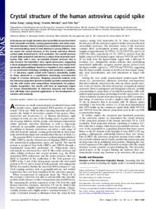 Crystal structure of the human astrovirus capsid spike Jinhui Donga, Liping Donga, Ernesto Méndezb, and Yizhi Taoa,1 a Department of Biochemistry and Cell Biology, Rice University, 6100 Main Street, MS140, Houston, TX 7