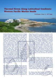 Thermal Stress Along Latitudinal Gradients: Western Pacific Marine Snails Professor Gray A. Williams Understanding how species may respond to changes in climatic conditions is important if we are to predict