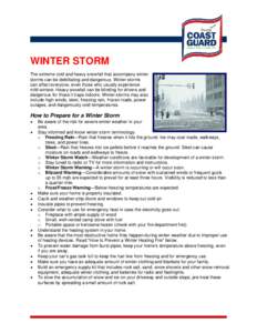 Ice storms / Storm / Winter / Winter storm / Blizzards / Kerosene / Snow / Ice / January 31 – February 2 /  2011 North American blizzard / Meteorology / Atmospheric sciences / Weather