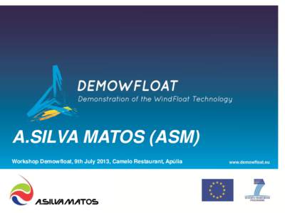 A.SILVA MATOS (ASM) Workshop Demowfloat, 9th July 2013, Camelo Restaurant, Apúlia ASM GROUP • BUSINESS