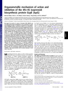 Organometallic mechanism of action and inhibition of the 4Fe-4S isoprenoid biosynthesis protein GcpE (IspG) Weixue Wanga, Jikun Lia, Ke Wangb, Cancan Huanga, Yong Zhangc, and Eric Oldfielda,b,1 a