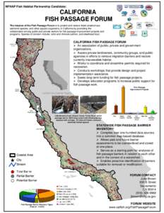 Oily fish / Rainbow trout / Coho salmon / Chinook salmon / Dutch Bill Creek / Alameda Creek / Fish / Oncorhynchus / Salmon