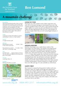 Ben Lomond A mountain challenge Description The broad-shouldered profile of Ben Lomond dominates the east side of Loch Lomond. The mountain is one of Scotland’s most acclaimed