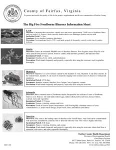 County of Fairfax, Virginia To protect and enrich the quality of life for the people, neighborhoods and diverse communities of Fairfax County The Big Five Foodborne Illnesses Information Sheet E. Coli Overview: A bacteri