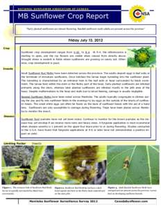 NATIONAL SUNFLOWER ASSOCATION OF CANADA  MB Sunflower Crop Report “Early planted sunflowers are almost flowering. Banded sunflower moth adults are present across the province”  Friday July 13, 2012