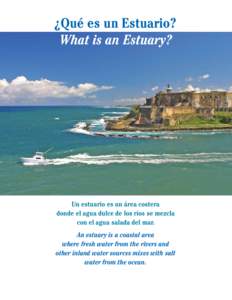 ¿Qué es un Estuario? What is an Estuary? Un estuario es un área costera donde el agua dulce de los ríos se mezcla con el agua salada del mar.