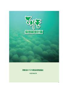 執筆・編集  阿寒湖のマリモ保全対策検討委員会 委員長  佐藤