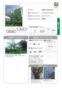 PTT Bulletin Board System / Cyatheaceae / Cyatheales / Liwan District