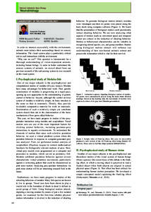 National Institute for Basic Biology  Neurobiology LABORATORY OF NEUROPHYSIOLOGY