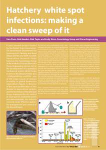 Hatchery white spot infections: making a clean sweep of it Sara Picon, Bob Bawden, Nick Taylor and Andy Shinn, Parasitology Group and Pisces Engineering A joint research project funded by the British Trout Association,