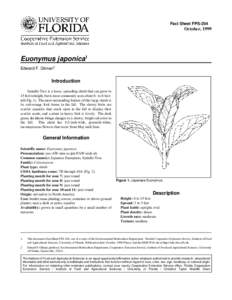 Fact Sheet FPS-204  October, 1999 Euonymus japonica1 Edward F. Gilman2