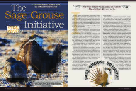 Centrocercus / Sage Grouse / Conservation Reserve Program / Sage Thrasher / Artemisia tridentata / Sharp-tailed Grouse / Flora of the United States / Grouse / Environment of the United States