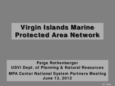 Virgin Islands Marine Protected Area Network Paige Rothenberger USVI Dept. of Planning & Natural Resources MPA Center National System Partners Meeting