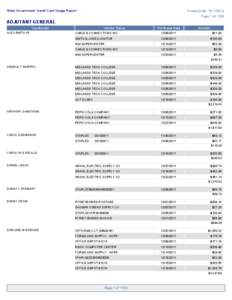 State Government Credit Card Usage Report