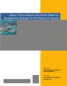 Labour Force Analysis and Human Resource Development Strategy for the District Of Algoma