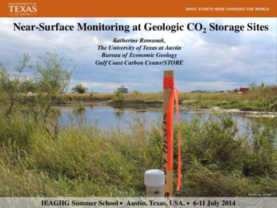 Near-Surface Monitoring at Geologic CO2 Storage Sites Katherine Romanak, The University of Texas at Austin Bureau of Economic Geology Gulf Coast Carbon Center/STORE