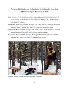 Distribution and Ecology of Wolverines in the North Cascades