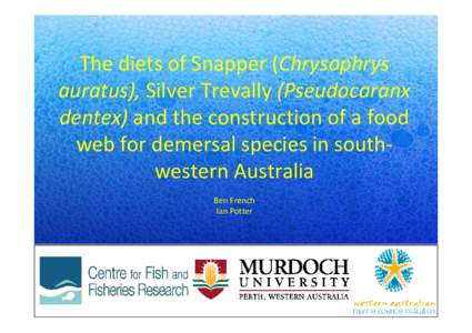 The diets of Snapper (Chrysophrys auratus), Silver Trevally (Pseudocaranx dentex) and the construction of a food web for demersal species in southwestern Australia Ben French Ian Potter