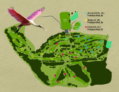 Alligator (A) 9 holes Par 36 Driving Range  Bobcat (B)