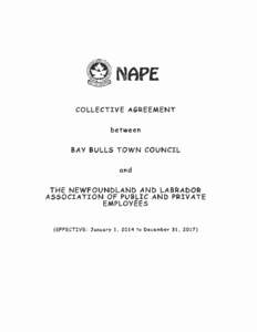 NAPE COLLECTIVE AGREEMENT between BAY BULLS TOWN COUNCIL