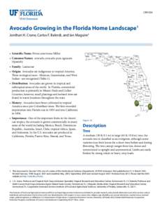 CIR1034  Avocado Growing in the Florida Home Landscape1 Jonthan H. Crane, Carlos F. Balerdi, and Ian Maguire2  •	 Scientific Name: Persea americana Miller