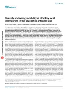 a r t ic l e s  Diversity and wiring variability of olfactory local interneurons in the Drosophila antennal lobe  © 2010 Nature America, Inc. All rights reserved.